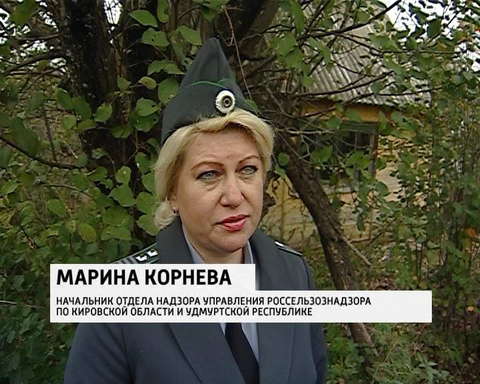 Изъяли участок в Чирках