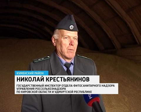 Качество семенного материала