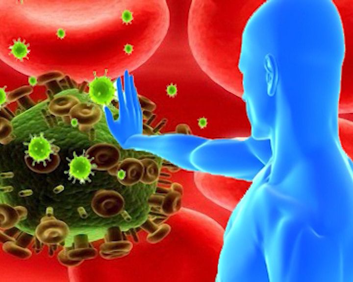 Школа здравого смысла. Иммунитет (07.11.2015)