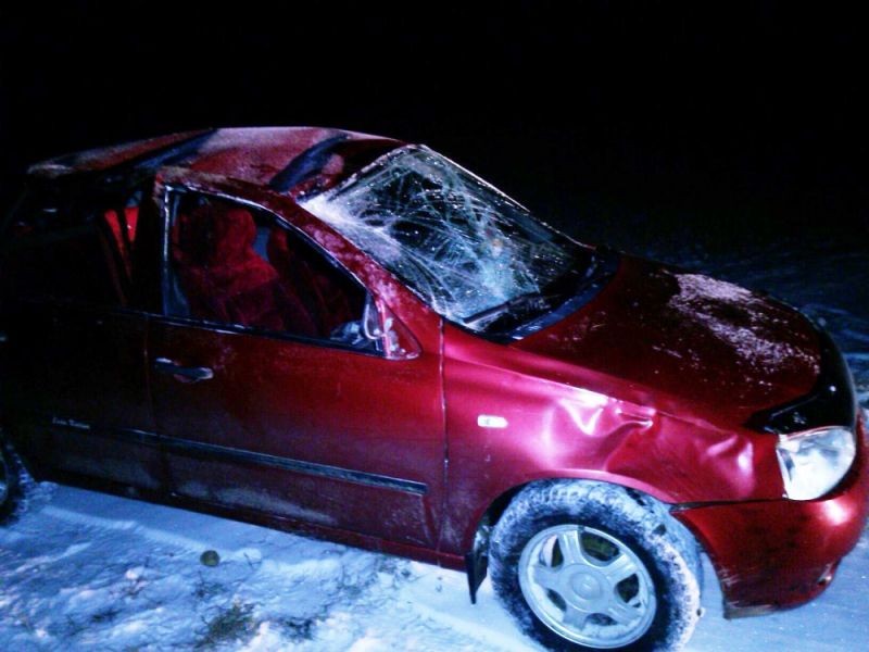 В Сунском районе в кювет улетела 