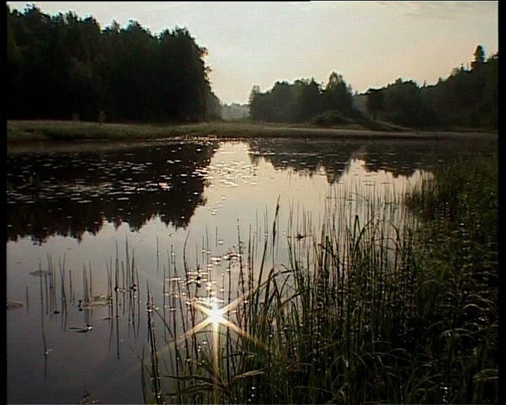 В Кировской области создан ещё один памятник природы
