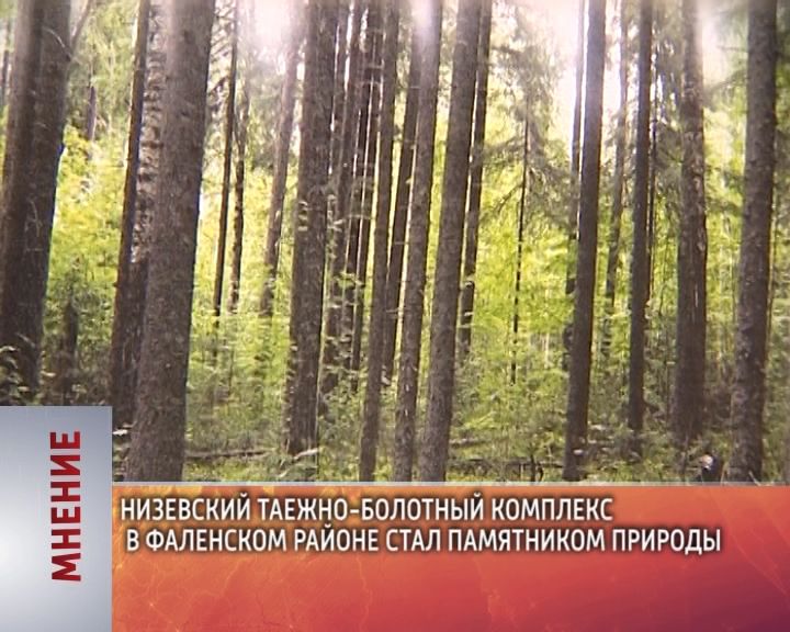 Мнение (19.11.2015)