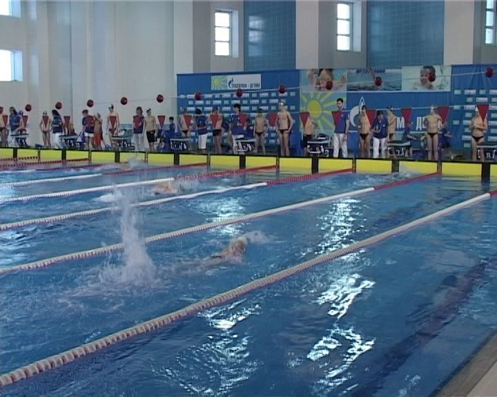 В Кирове завершился Открытый Кубок города по плаванию