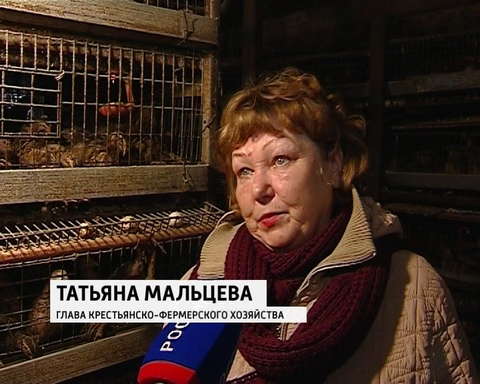 Грантовая поддержка крестьянско-фермерским хозяйствам