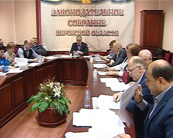 Кировские законодатели обсудили актуальные социальные вопросы