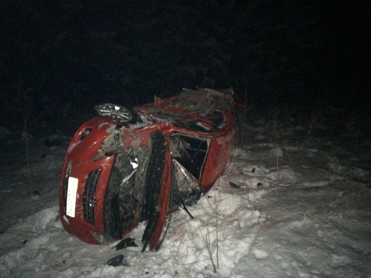 В Свечинском районе лось врезался в ВАЗ-21099.