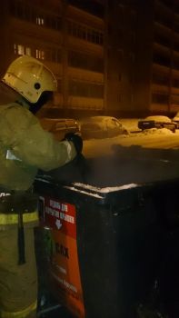 Новогодняя ночь выдалась беспокойной для пожарных: горели квартиры, частные дома и мусорные баки.