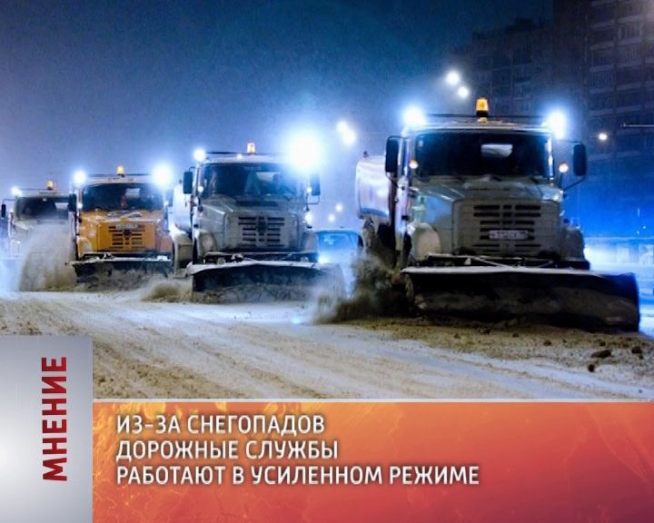 Мнение (25.01.2016)