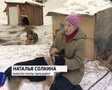 Приюту для бездомных собак требуется помощь волонтеров и неравнодушных людей