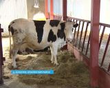 Победы ГТРК «ВЯТКА» на фестивалях и конкурсах в 2015 году