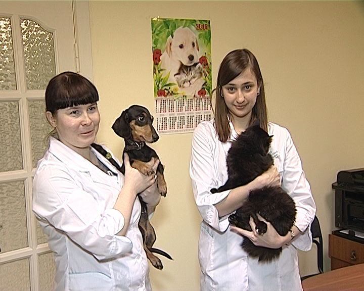 В Кирове открылась новая ветклиника