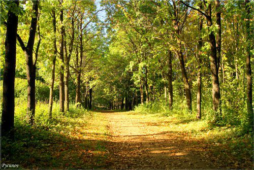 В Кировской области проверят экологическое состояние 30 памятников природы.