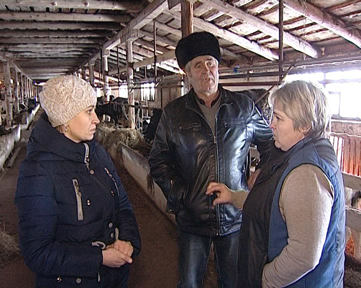 Дороги деревенские. ООО «Пригородное» (05.03.2016)