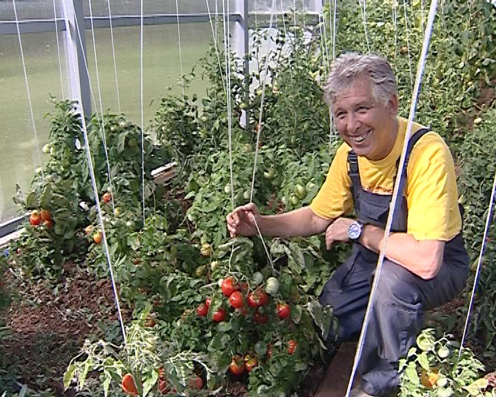 Вести. Сад. Огород (07.03.2016)