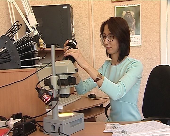 Научная работа кировчанки Марии Ивойловой о популяции пчел выиграла грант Президента России