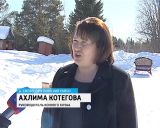 В деревне Ежово Омутнинского района в местном конном клубе поселился верблюд