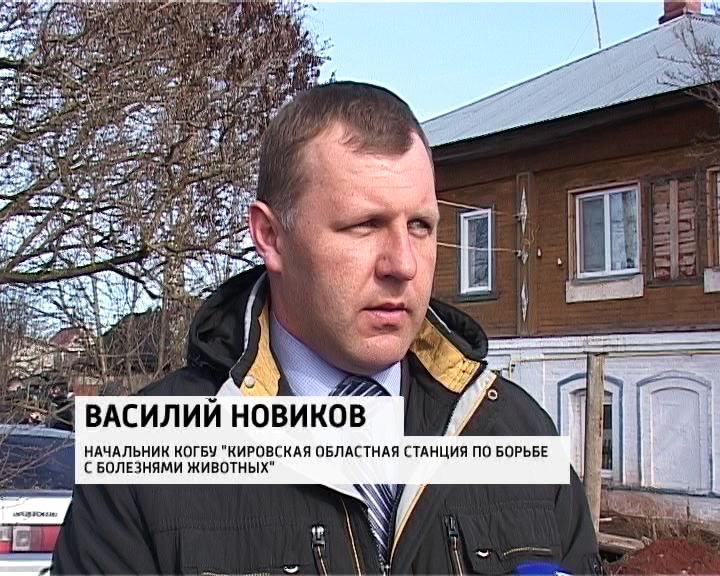 вывоз животных. ветеринарная клиника здание. кировская областная станция по борьбе с болезнями животных. станция по борьбе с болезнями животных калининградской области. кировская областная станция по борьбе с болезнями животных.