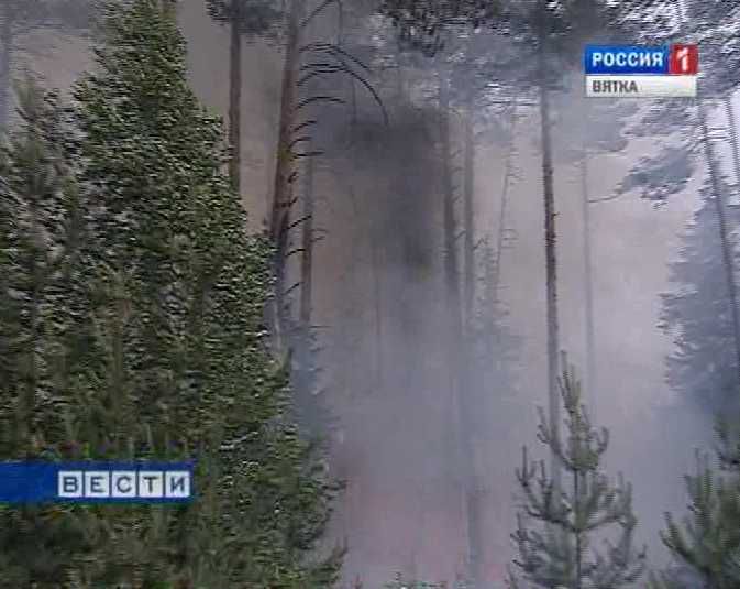 В Кировской области зафиксирован первый лесной пожар