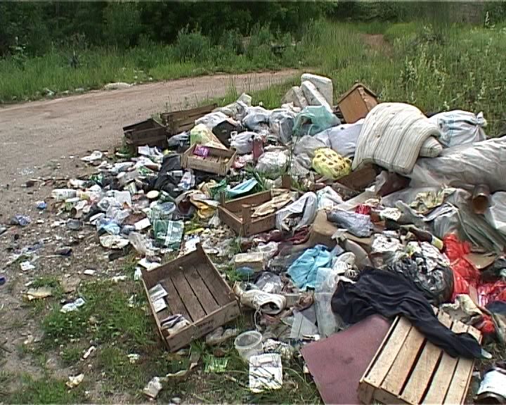 Актуальную проблему свалок обсудили представители росприроднадзора и садоводств