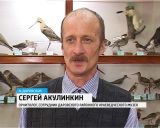 Уникальная орнитологическая коллекция появилась в Даровском краеведческом музее