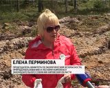 В Новобыстрицком лесничестве высадили молодые кедры