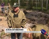 В Новобыстрицком лесничестве высадили молодые кедры