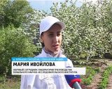 В Кировской области будет создана пасека для потомков первобытной лесной пчелы