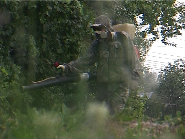 Парки и скверы Кирова повторно обработаны от клещей