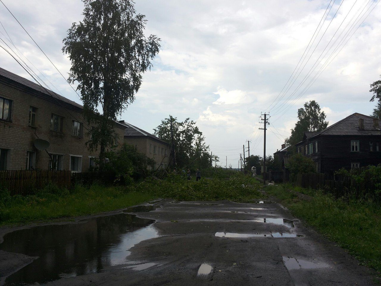 Шквал повалил деревья в Кирсе