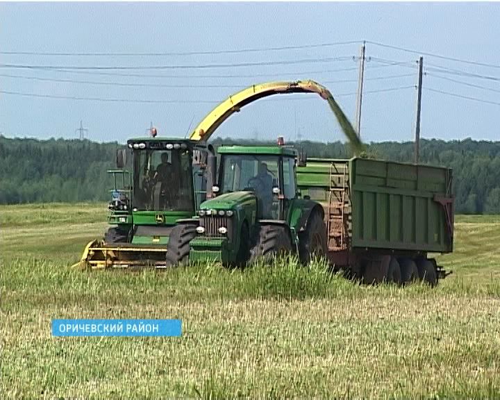 В регионе полным ходом идет заготовка кормов для животных