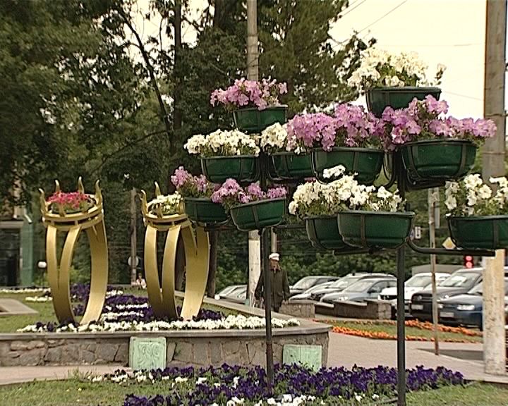 Озеленение в Октябрьском районе города Кирова