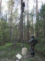 В Нургушском заповеднике установили домики для сов.