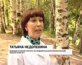 Экологи проверили состояние воды в пруду дендропарка