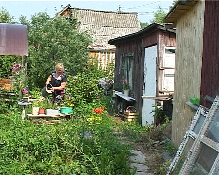 Профилактика краж в садоводческих обществах