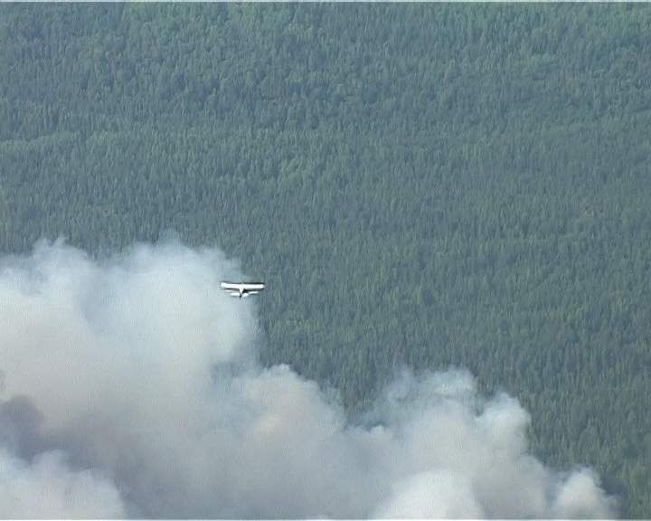 В Кировской области введён особый противопожарный режим