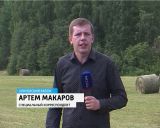 Сельхозпредприятия заготавливают корма на зиму