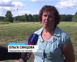 Сельхозпредприятия заготавливают корма на зиму