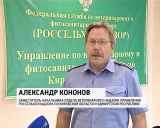 В Кировской области по-прежнему сохраняется высокая опасность заразиться бешенством