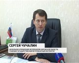 Африканская чума наступает