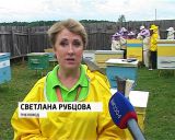 Пчеловоды знакомят воспитанников детских домов со своей профессией