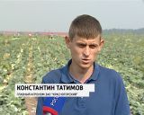 Обеспечение города овощами