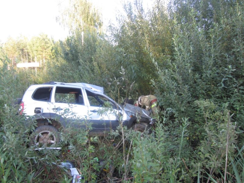 В Орловском районе в кювет улетела 