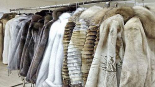 Кировские меховщики попросили отсрочить маркировку изделий