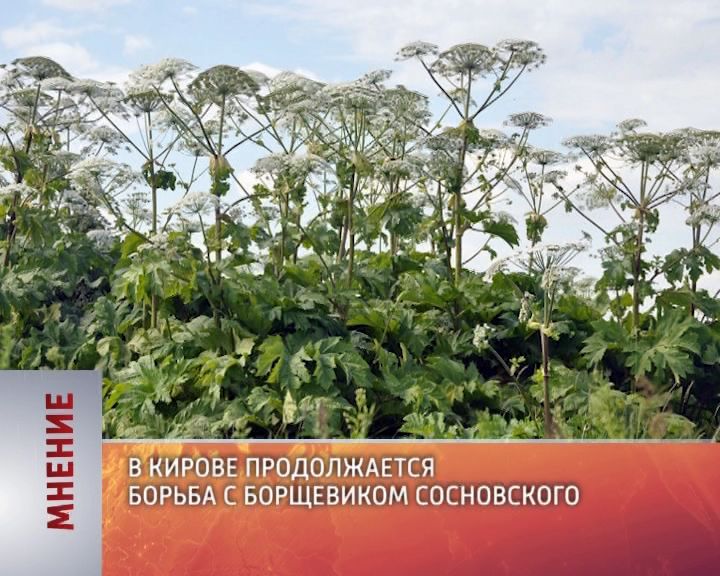 Мнение (30.08.2016)