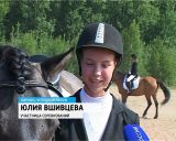 Фестиваль лошадей вятской породы "Достояние Вятки"