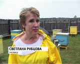 Дети на пасеке 