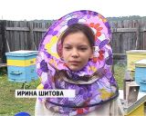 Дети на пасеке 