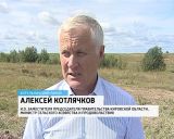 Фермеры Савковы 