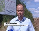 Зеленый щит