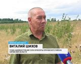 Изъятие неиспользуемых земель